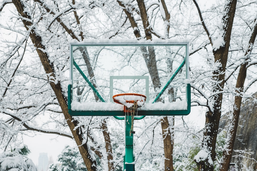 basketball system near trees