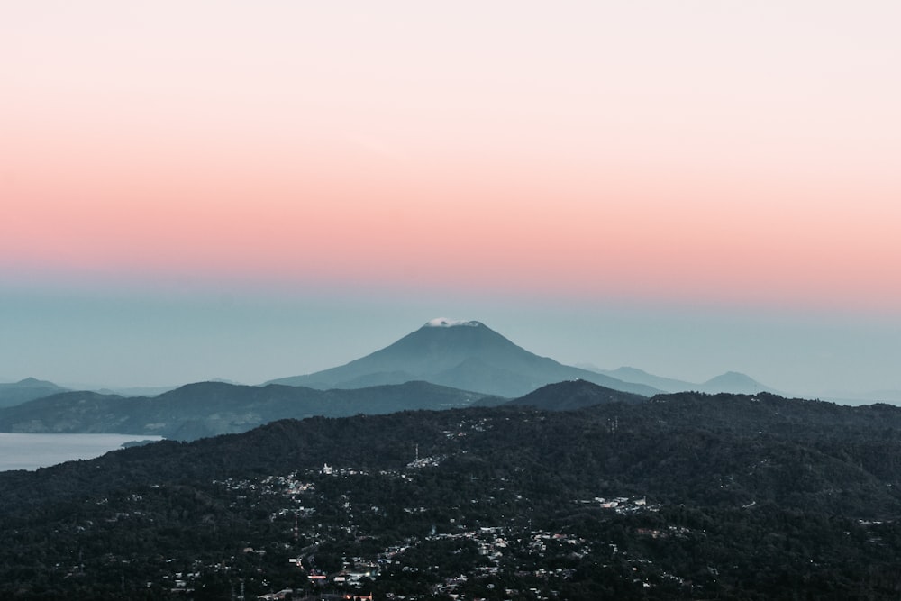 水域近くの木々の空中写真