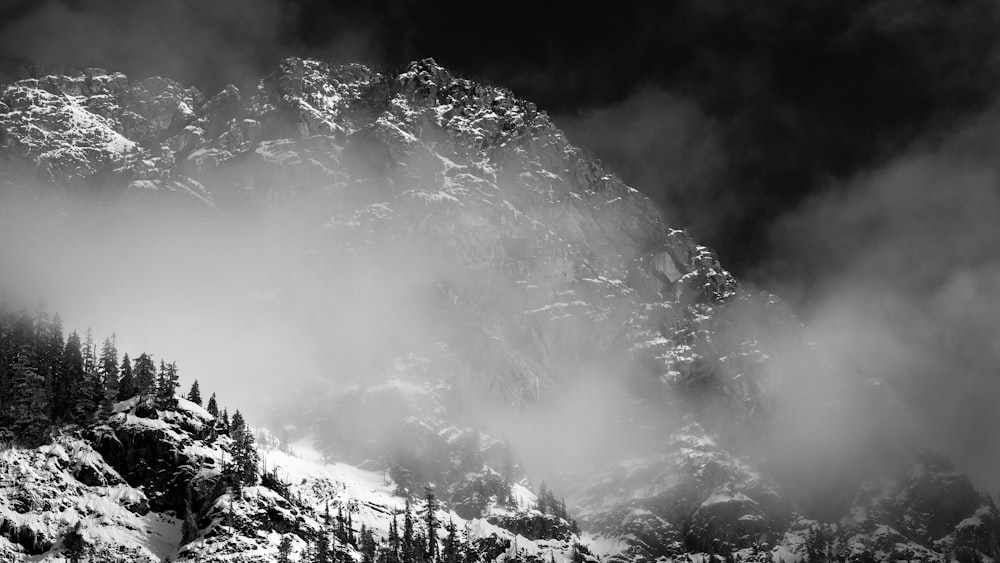 aerial view of snow covered mountains with trees