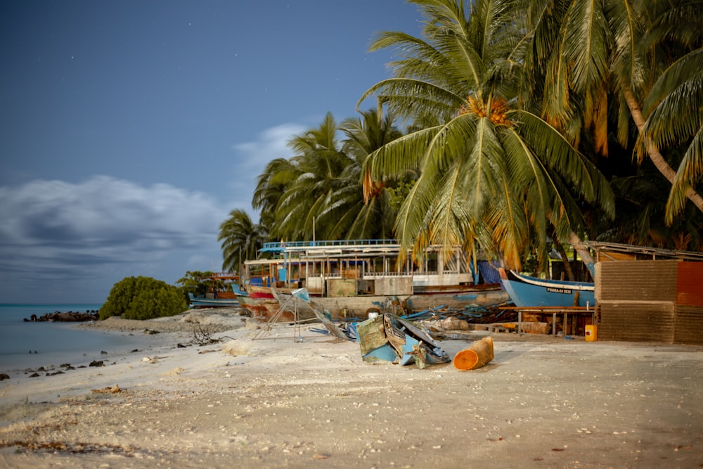 boat beside green palm trees on seashore during daytime