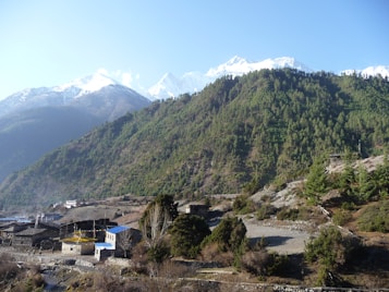 A picturesque mountain landscape featuring snow-capped peaks in the background and a densely forested hill covered with green pine trees in the foreground. At the base, a small village with traditional stone houses, some with bright blue and yellow roofs, is nestled among sparse vegetation and bare trees. The sky is clear and blue, enhancing the serene and natural beauty of the scene.