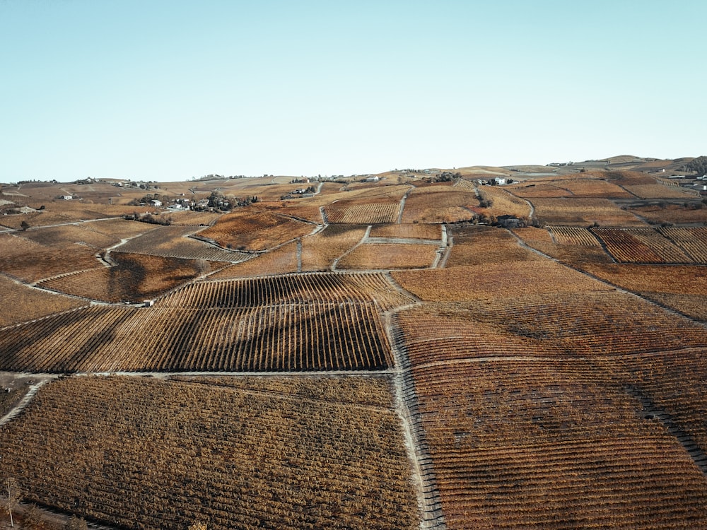 aerial photography of vast land during daytime