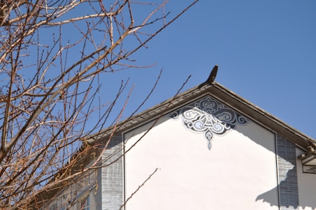 A decorative design adorns the gable of a house. The roof is dark with ornate white and gray patterns beneath it. The sky is clear and blue, and bare tree branches extend into the scene from the left.