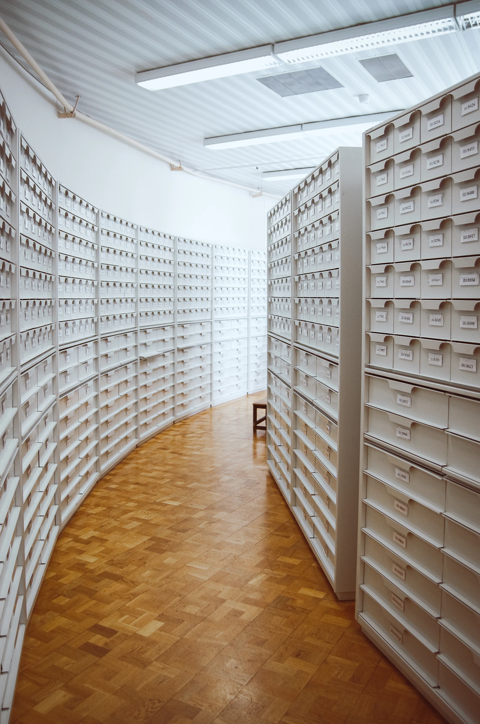 A narrow aisle running between tall pale archive shelving units