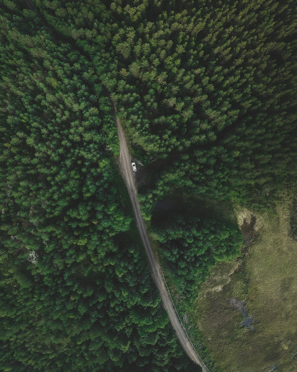 aerial view of trees during daytime