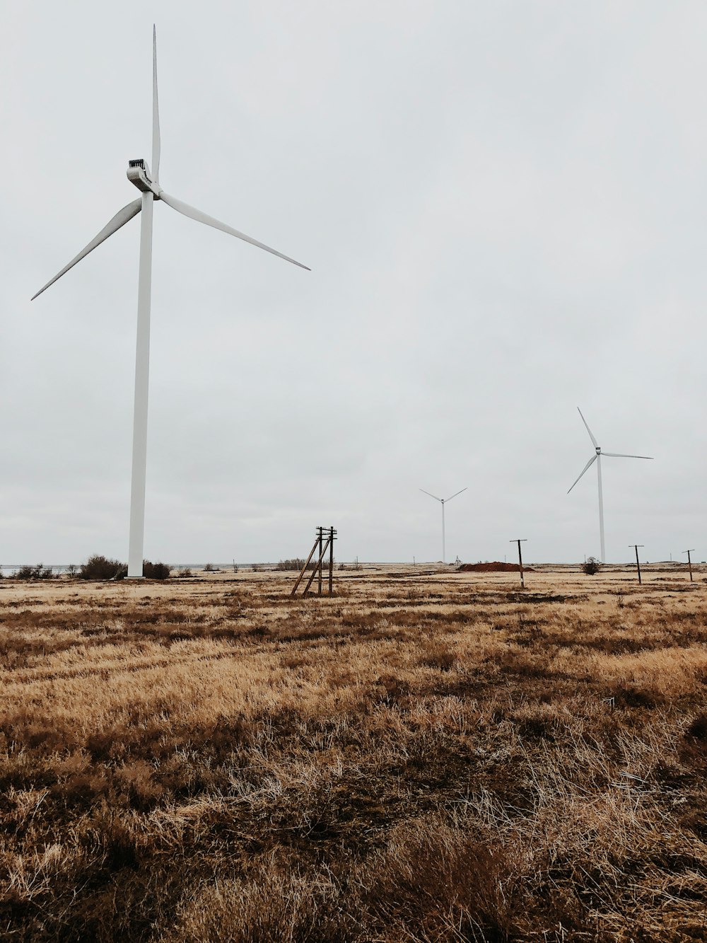 win turbine on grass field