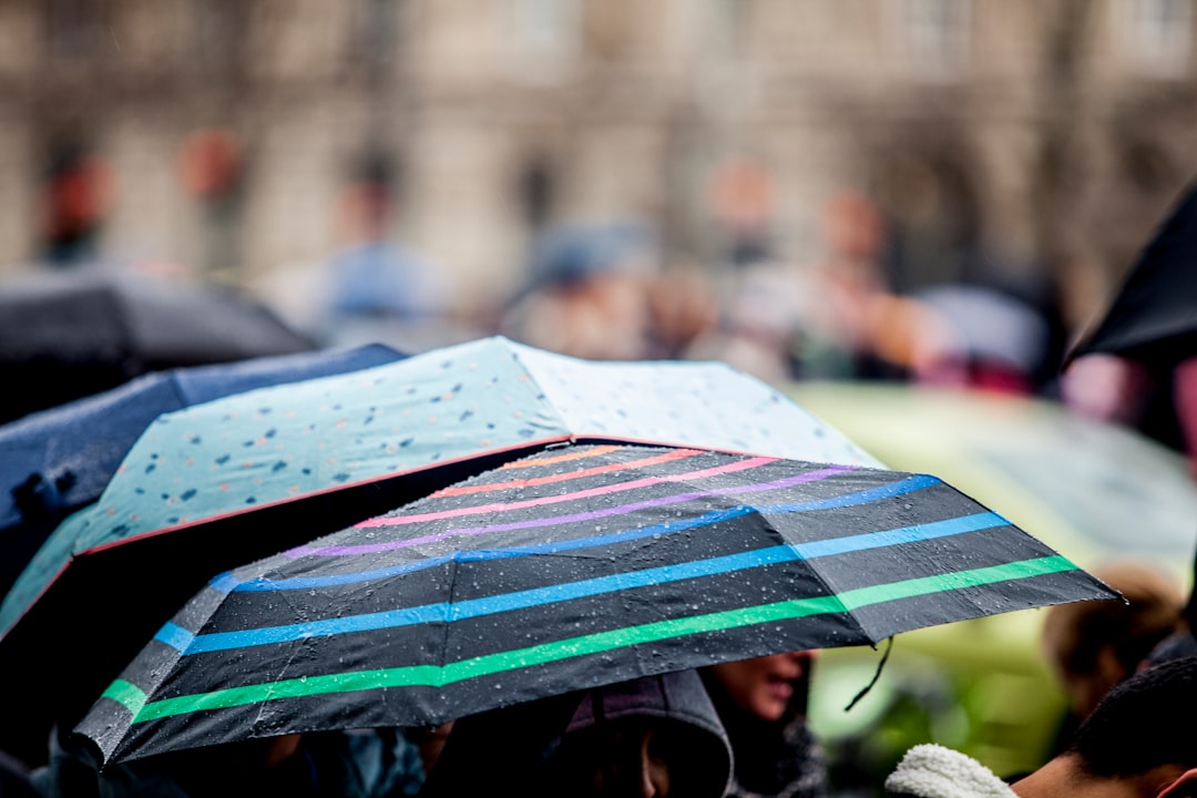 selective focus photograph of umbrella