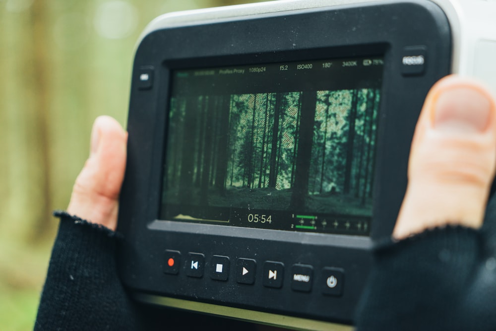 person taking photo of forest during daytime