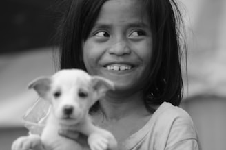 A small child laughing joyfully while holding a friendly English Springer Spaniel puppy.