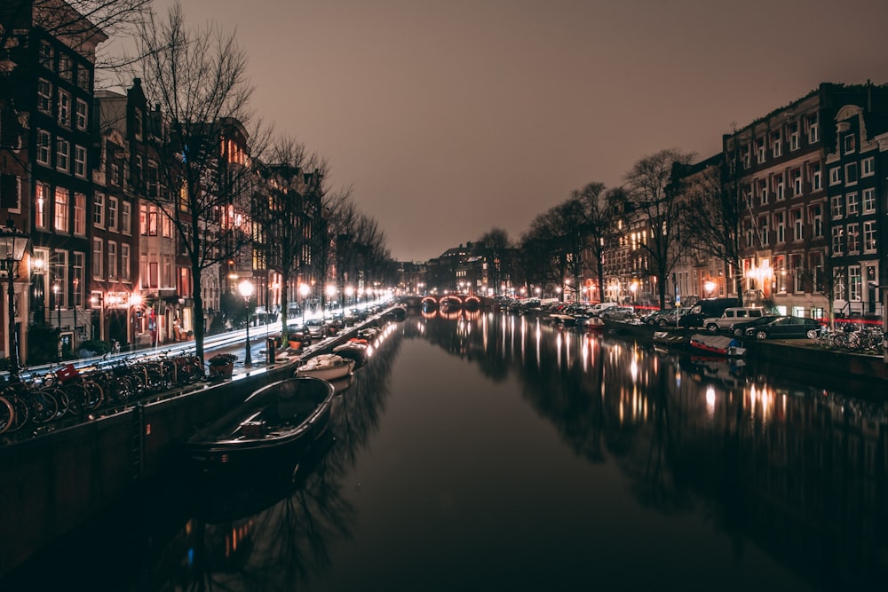 city scape during nighttime