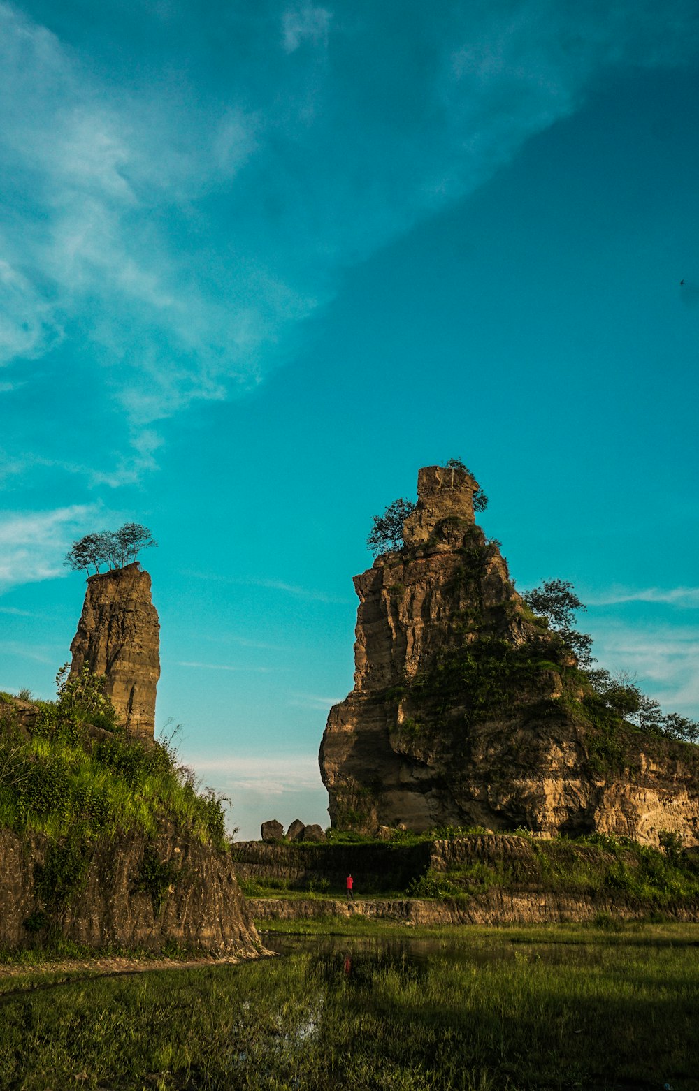 grass beside rock formation during daytime