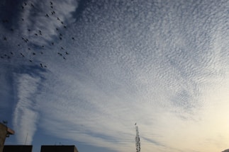 A flock of birds is flying across a sky filled with textured clouds resembling altocumulus formations. Below them, the silhouette of buildings is visible, along with a tall antenna. The sky is predominantly blue with areas lit by the sun, giving a warm, contrasting glow.