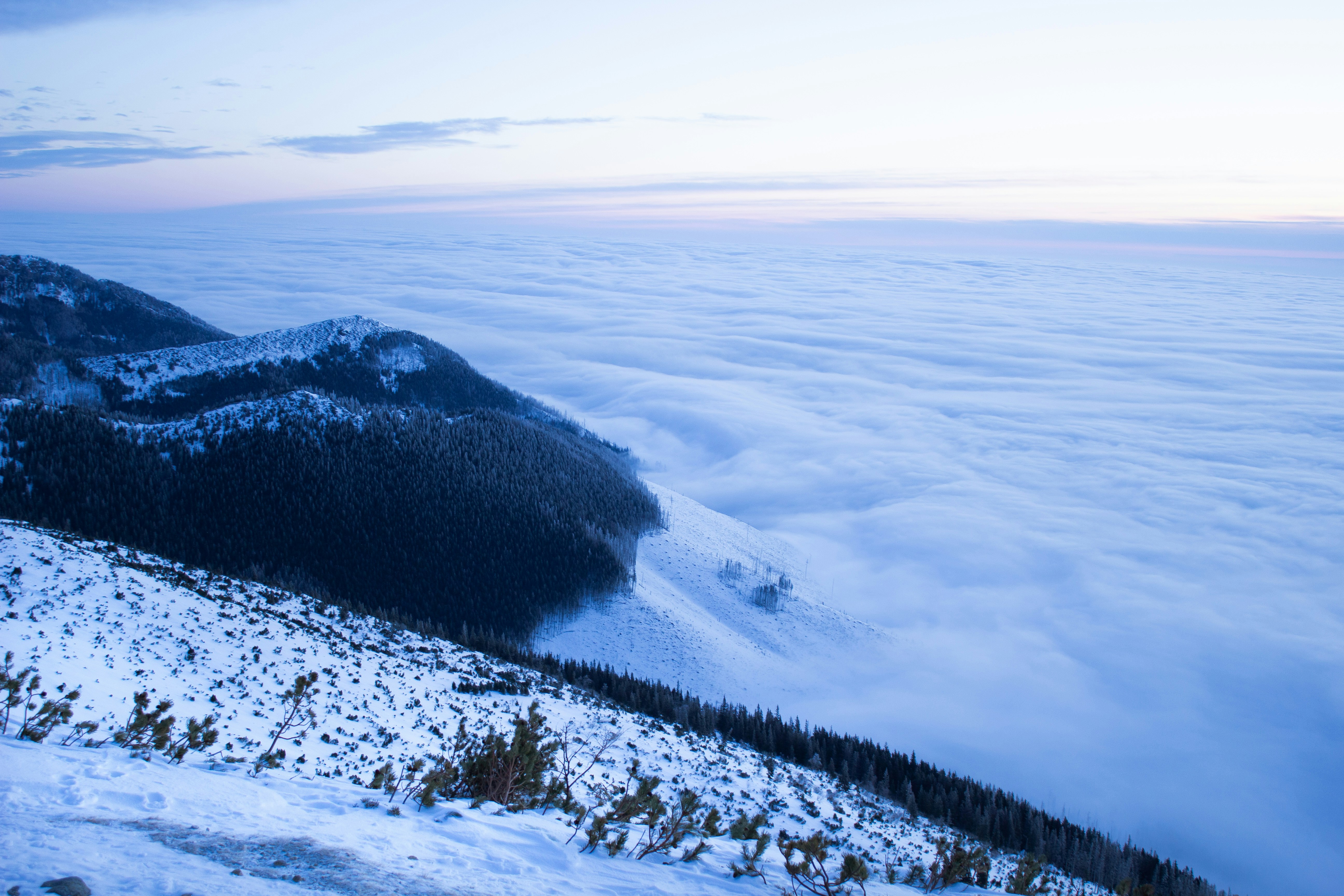 Photo by patrikmichalicka