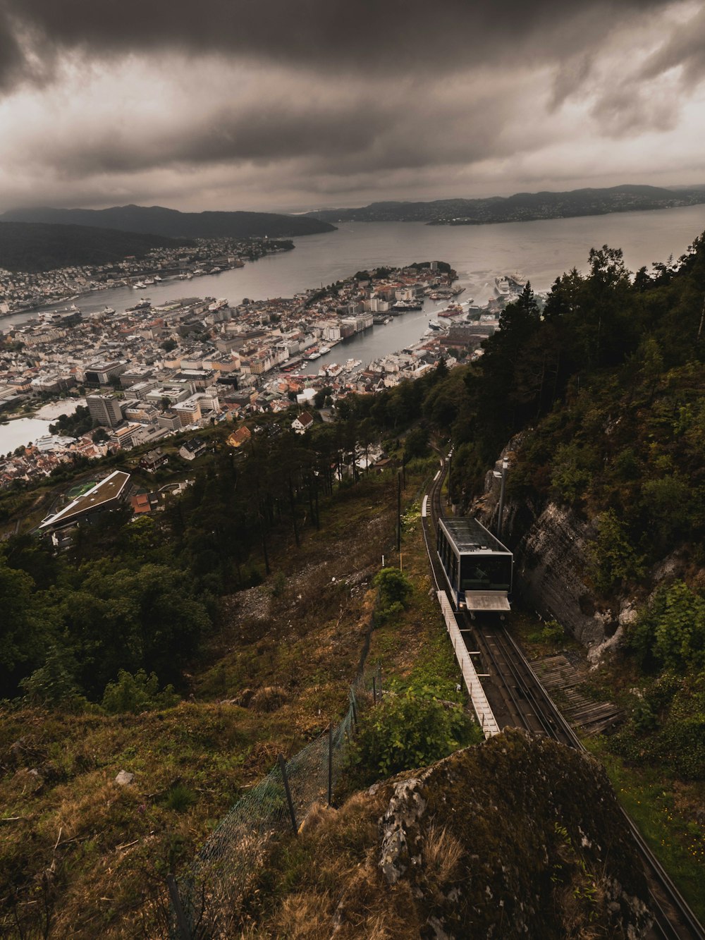 train along trees