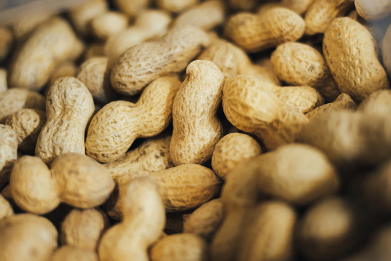 Kacang-Kacangan Kukus