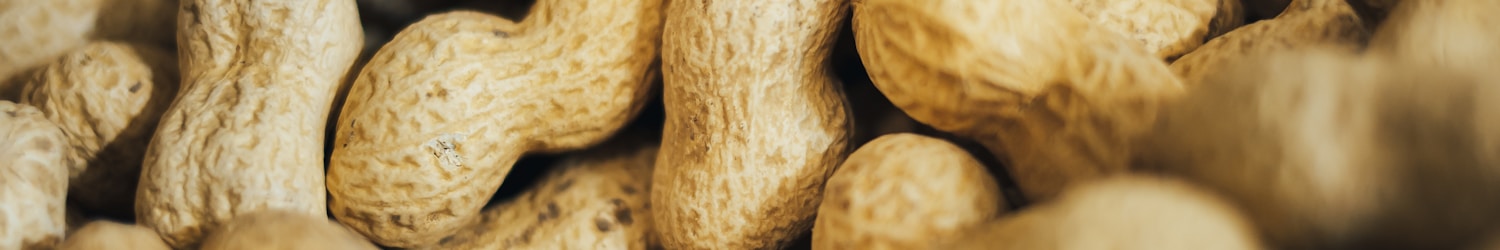 pile of peanuts