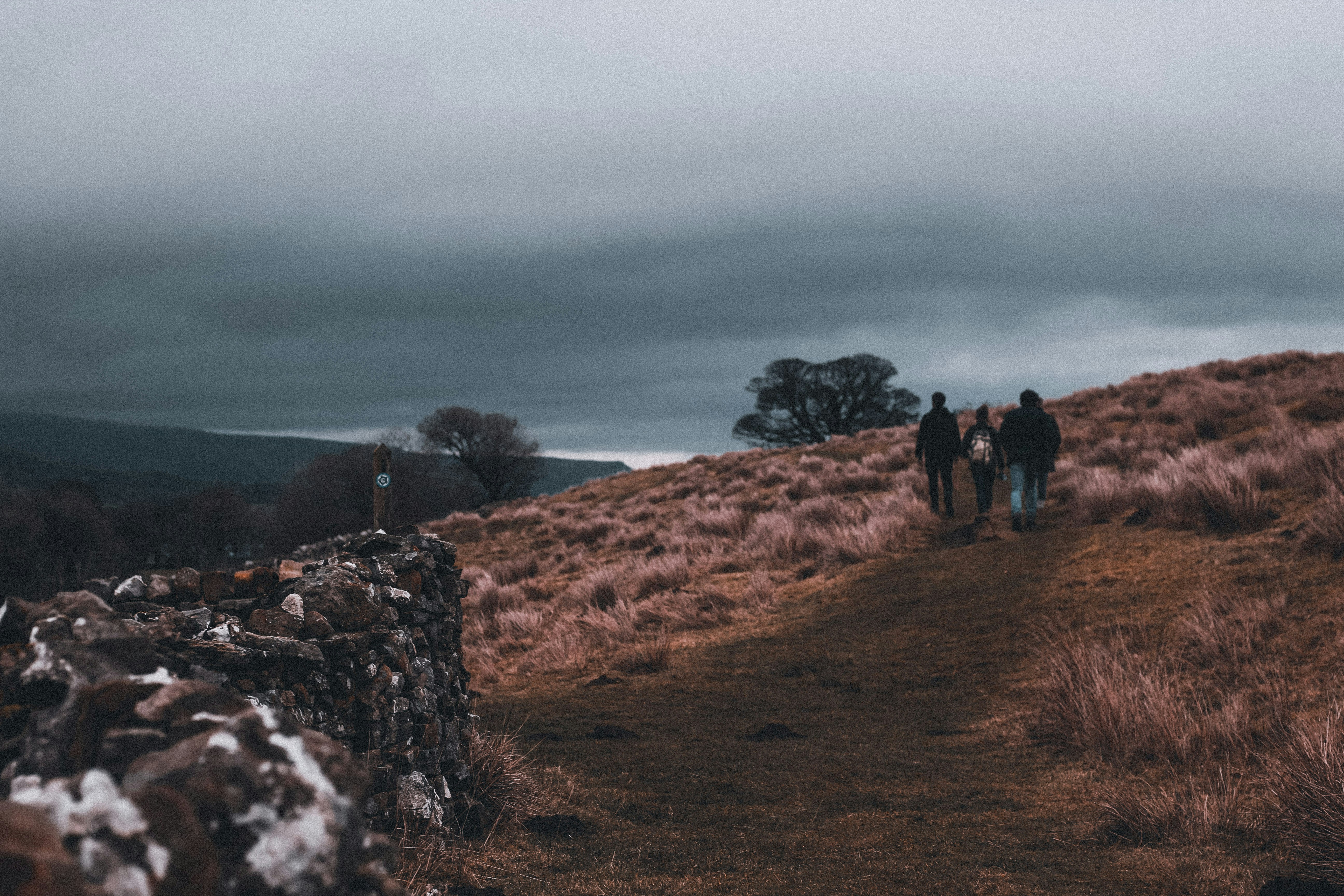 three person walking on steppe