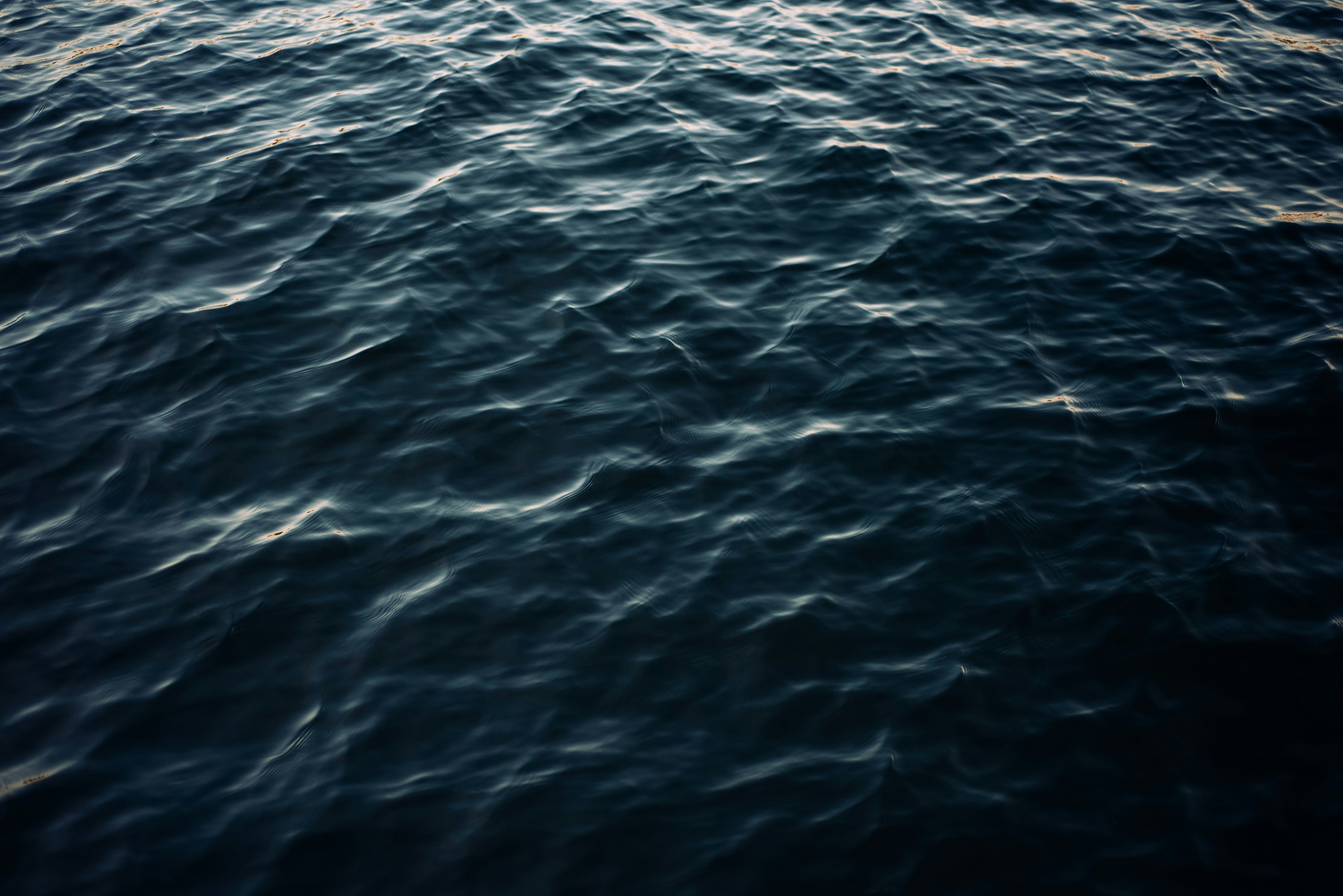 Photo by hujoljushka