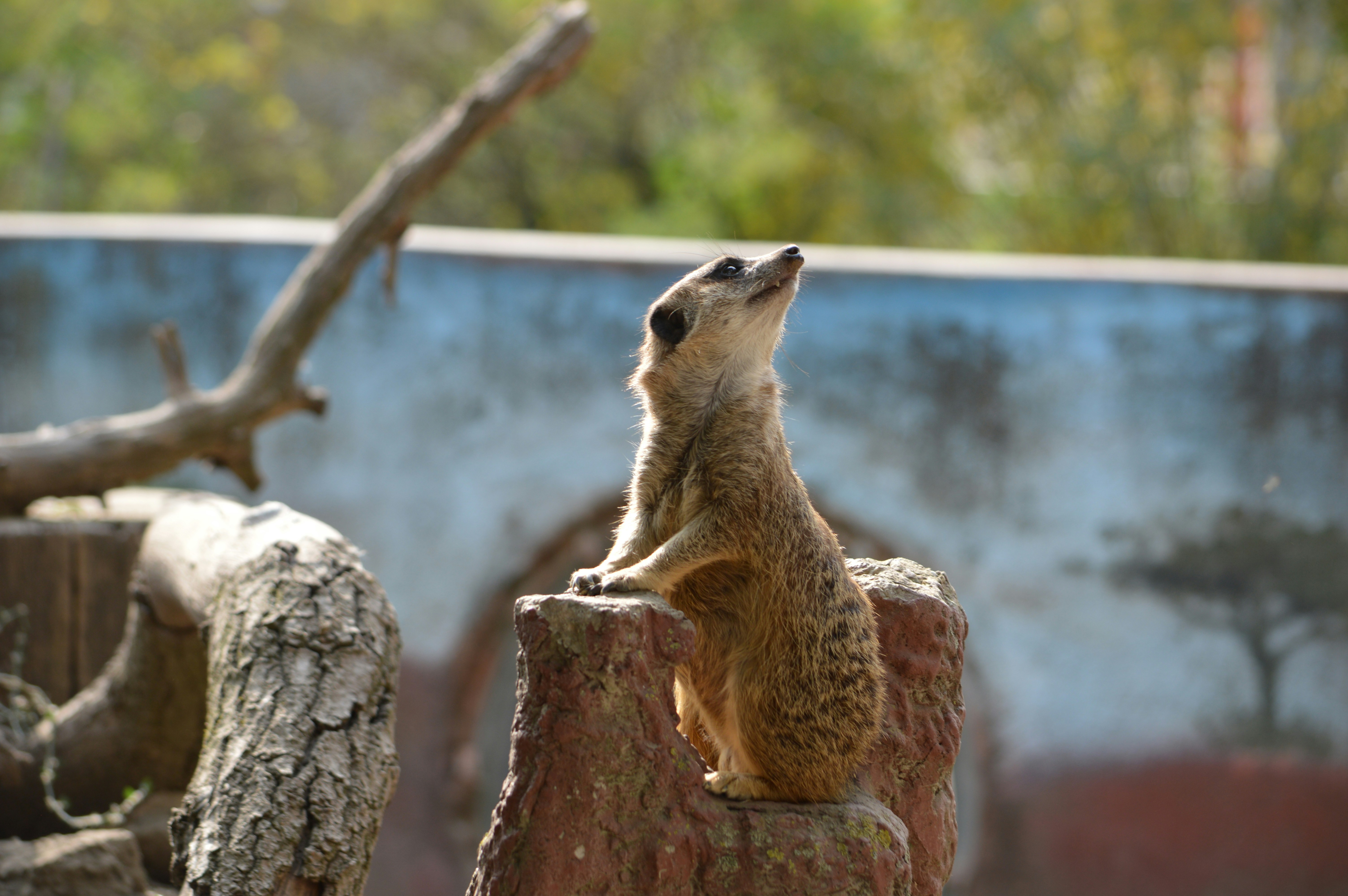 Photo by radpeanutbanana