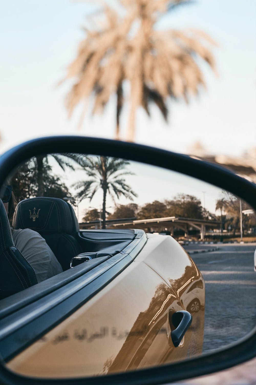 brown convertible coupe parked near tree outdoors