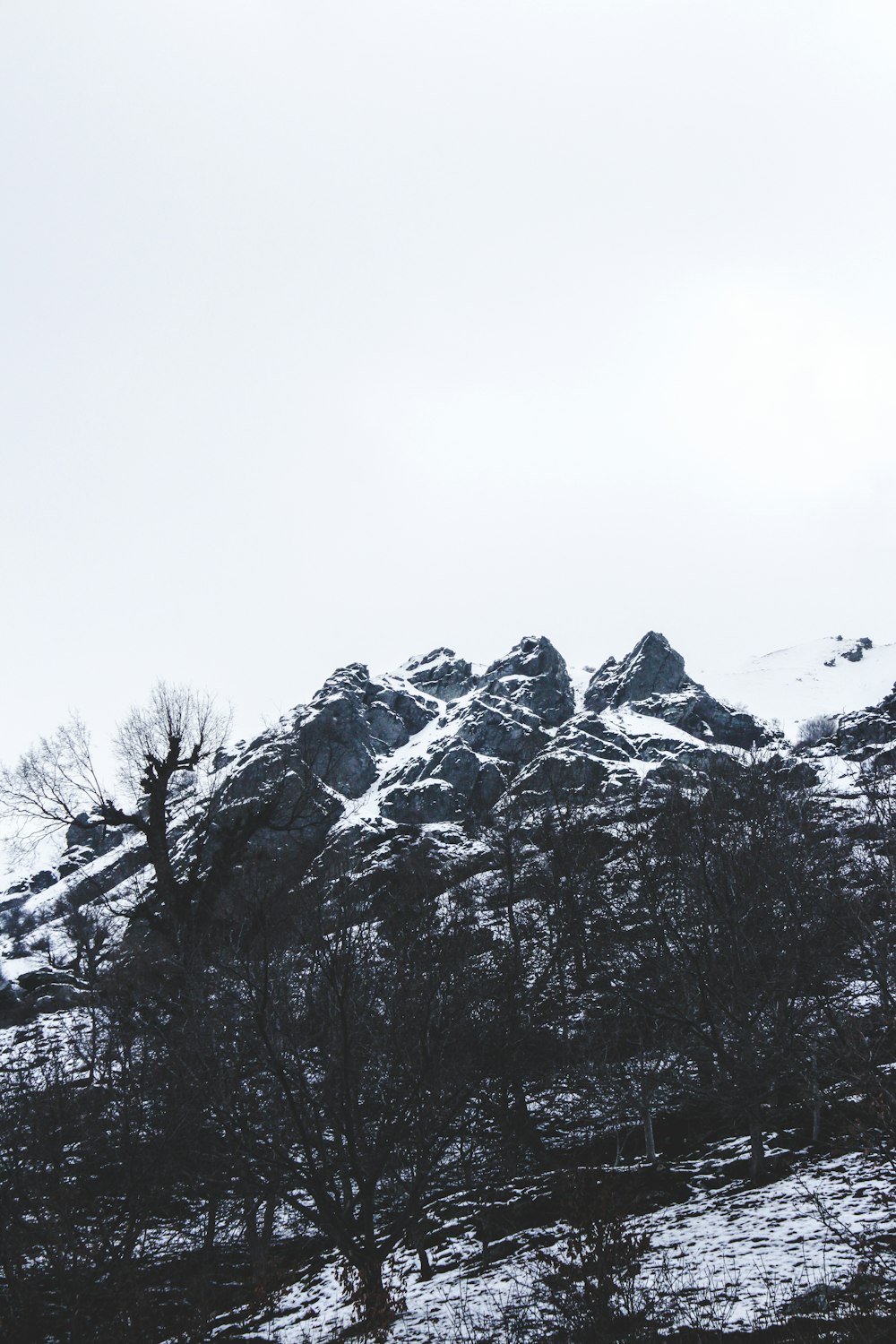 montaña cubierta de nieve con árboles desnudos bajo el cielo blanco