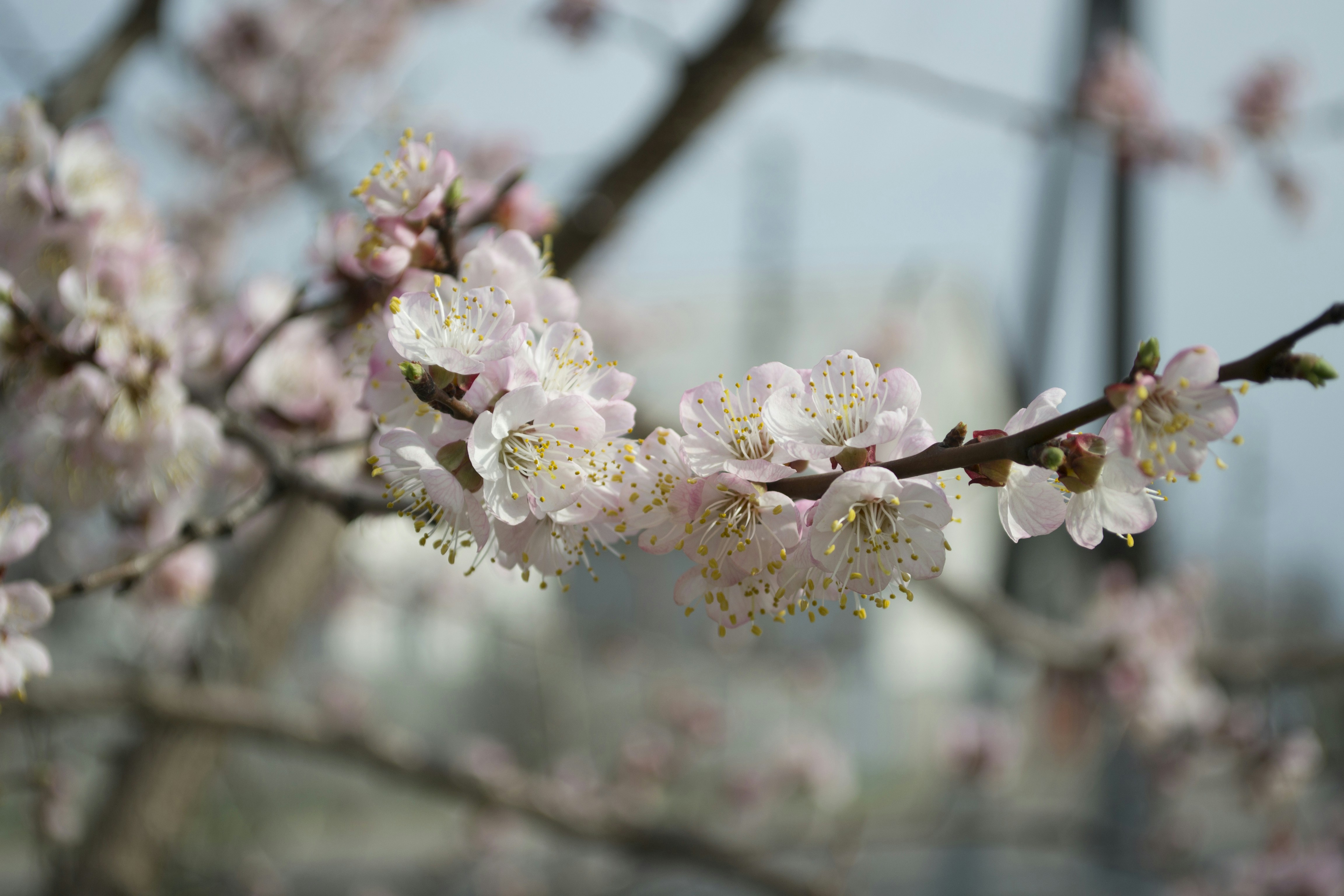 Photo by bohucharska