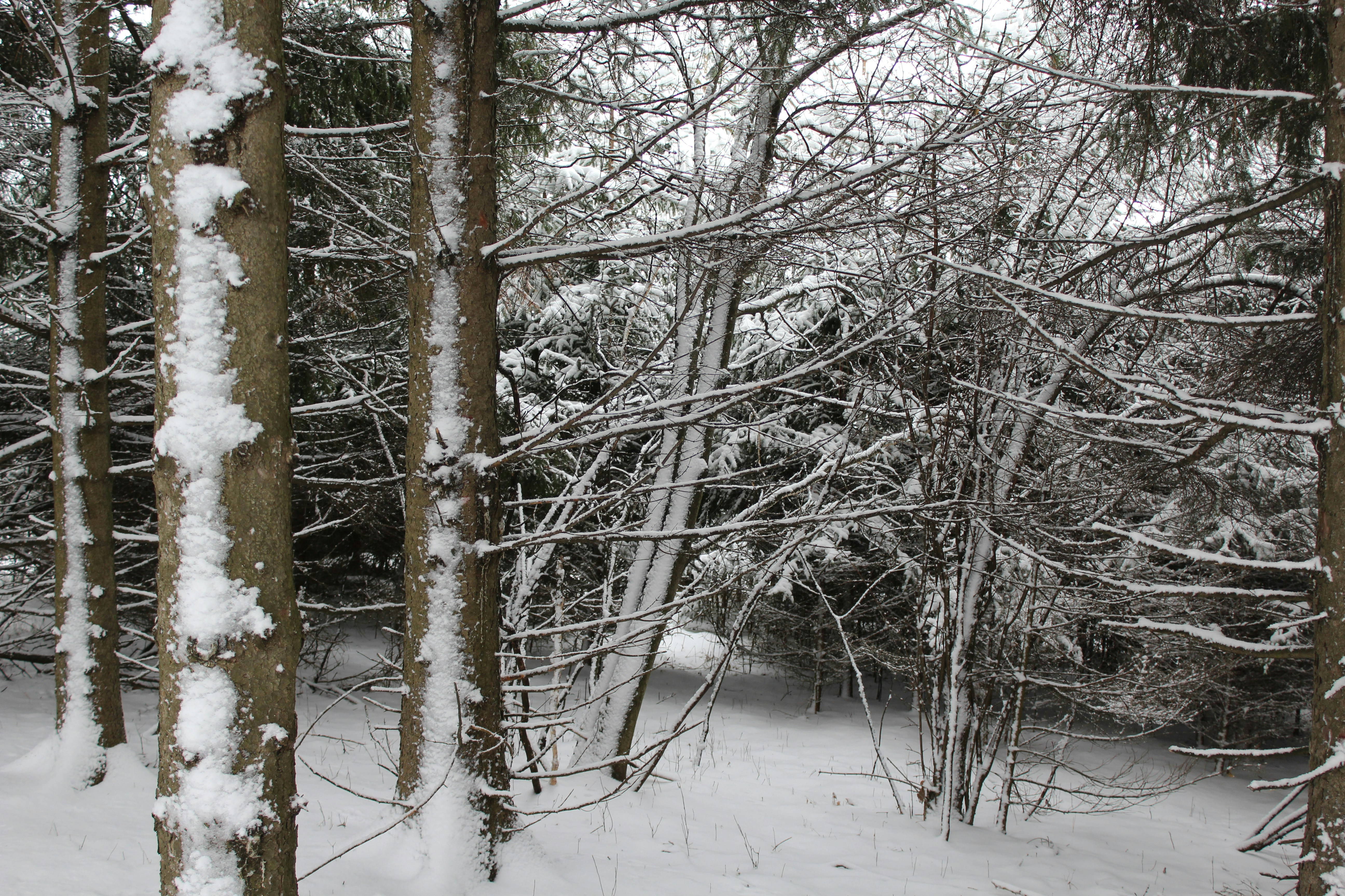 Photo by wisconsinpictures