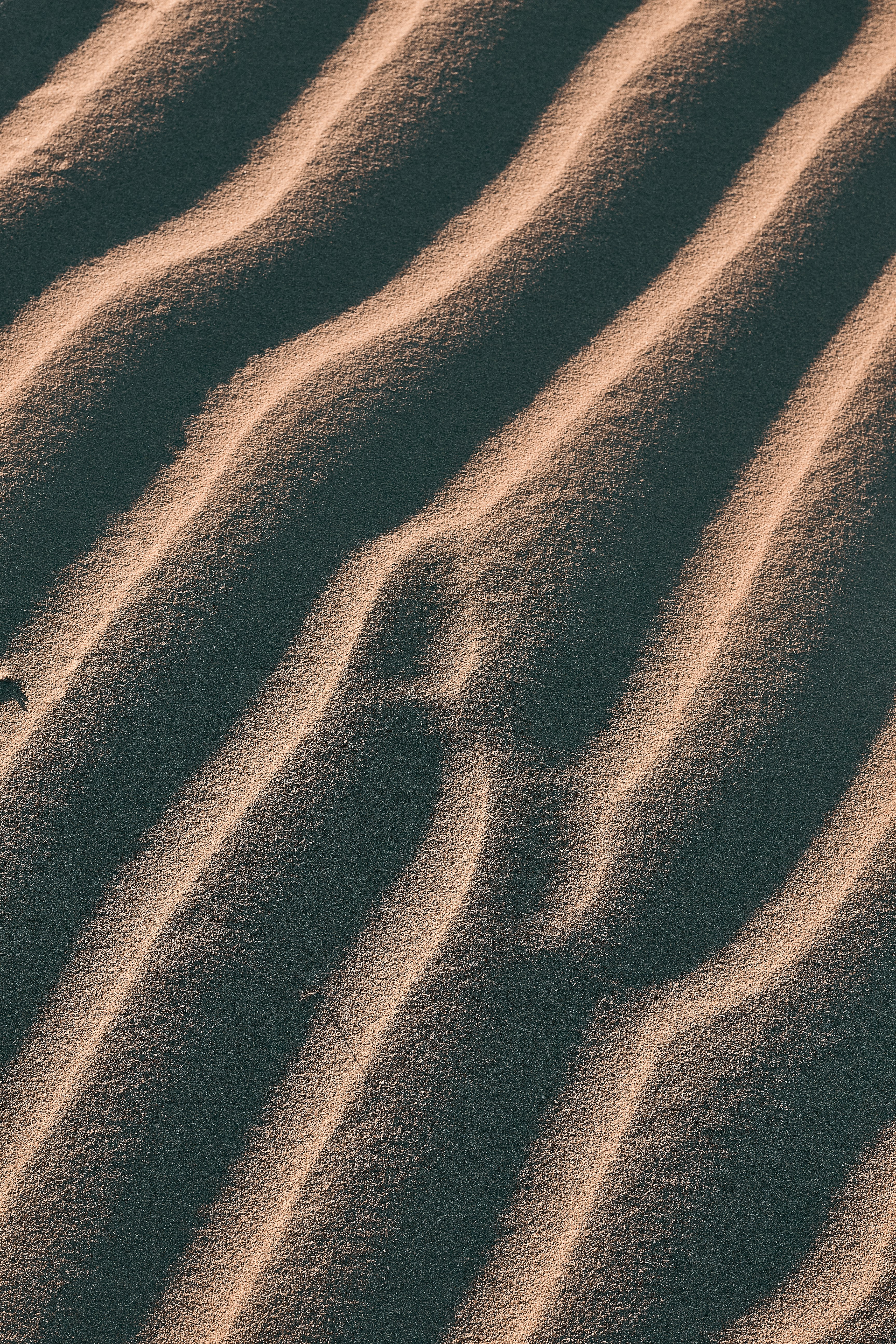 aerial view photography of sand