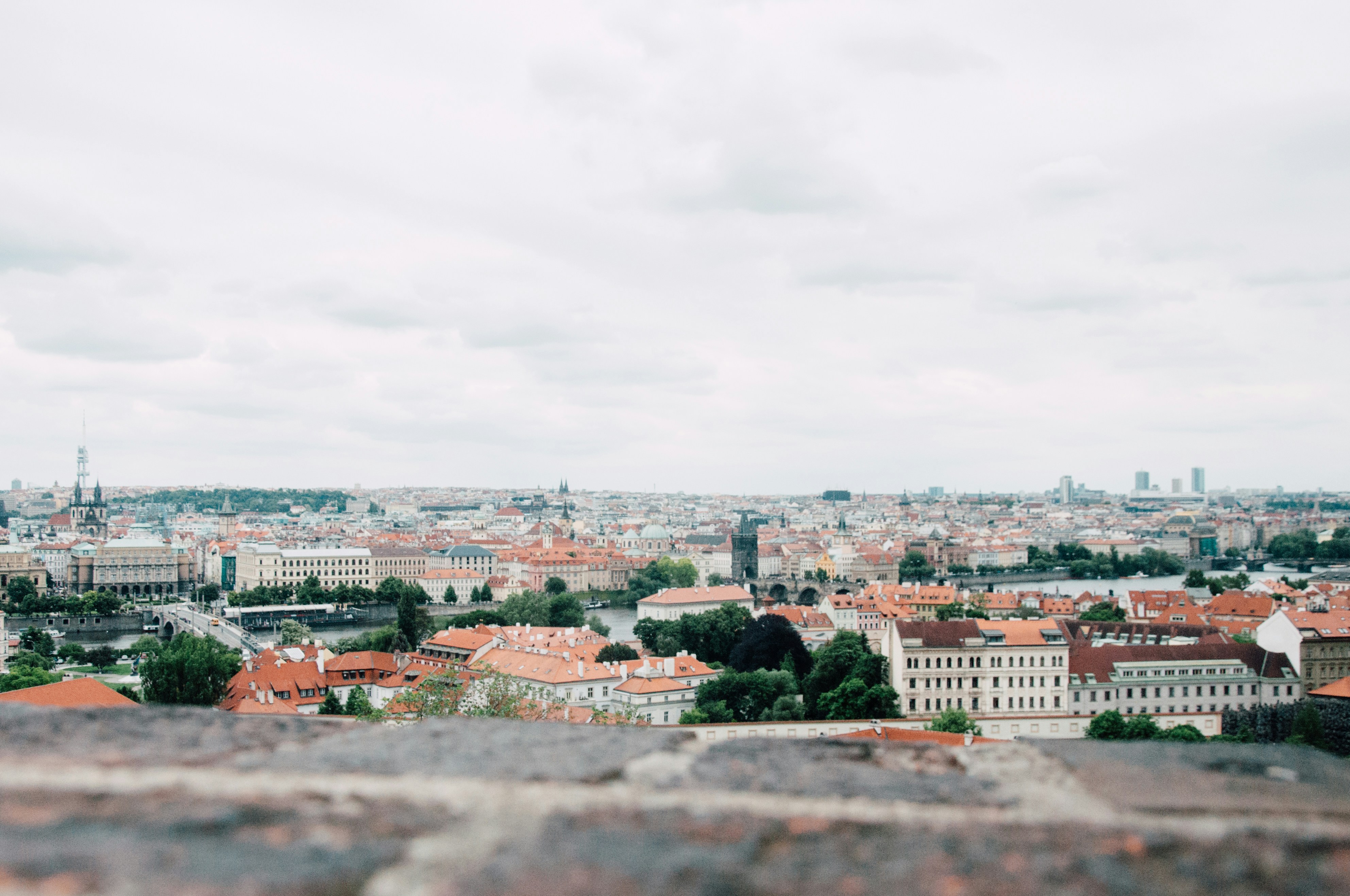 Photo by jennieramida