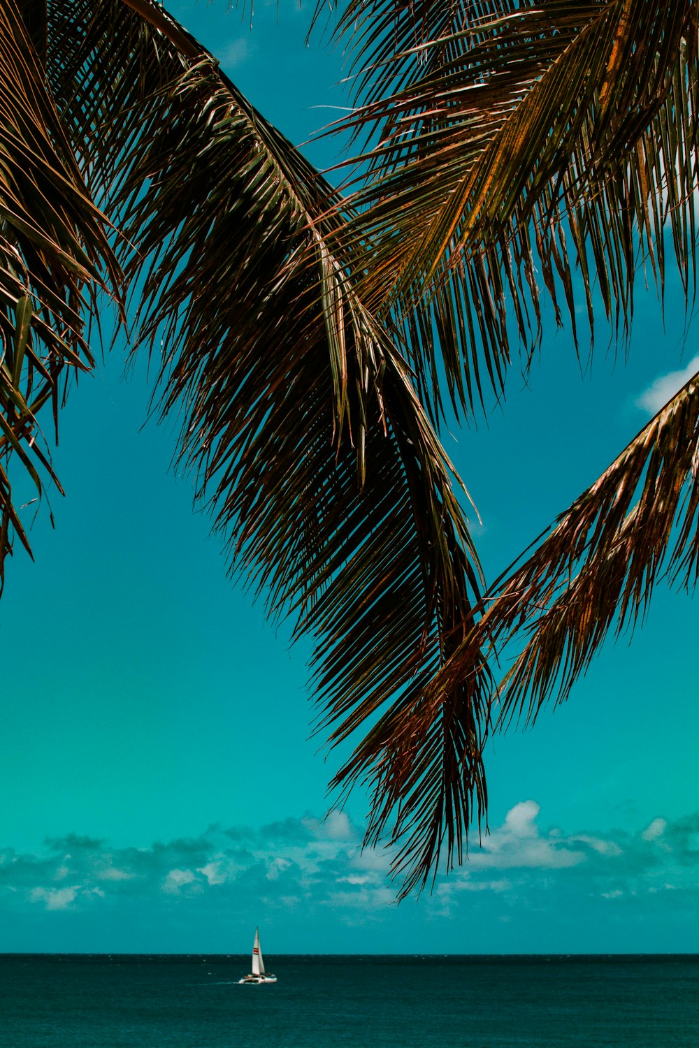 voilier blanc sur mer calme sous ciel bleu