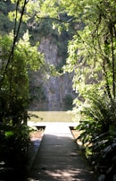 Tourists crossing a wooden boardwalk over a sparkling creek with sunlight filtering through palm leaves.