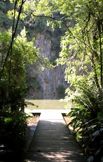 Tourists crossing a wooden boardwalk over a sparkling creek with sunlight filtering through palm leaves.
