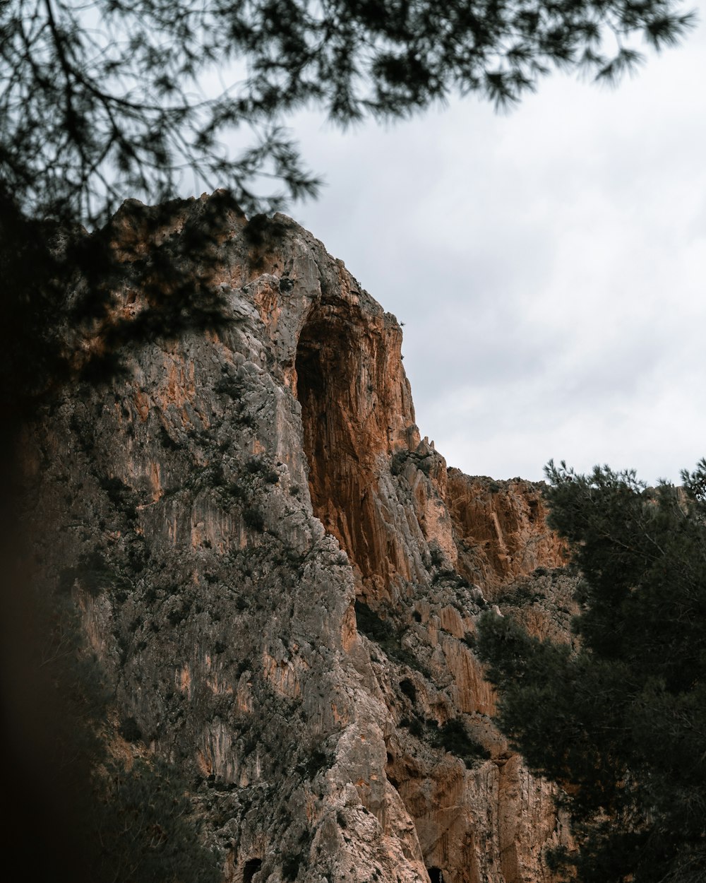 Vista de las montañas rocosas marrones desde el árbol