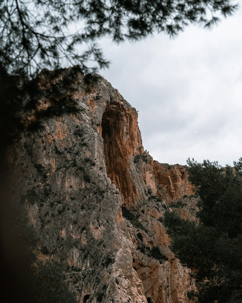 brown rocky mountain view from tree