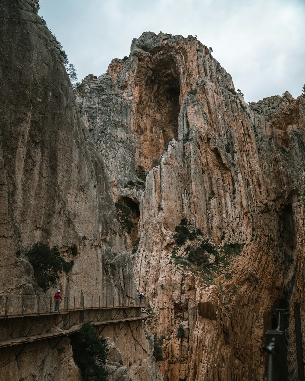 brown rock formation