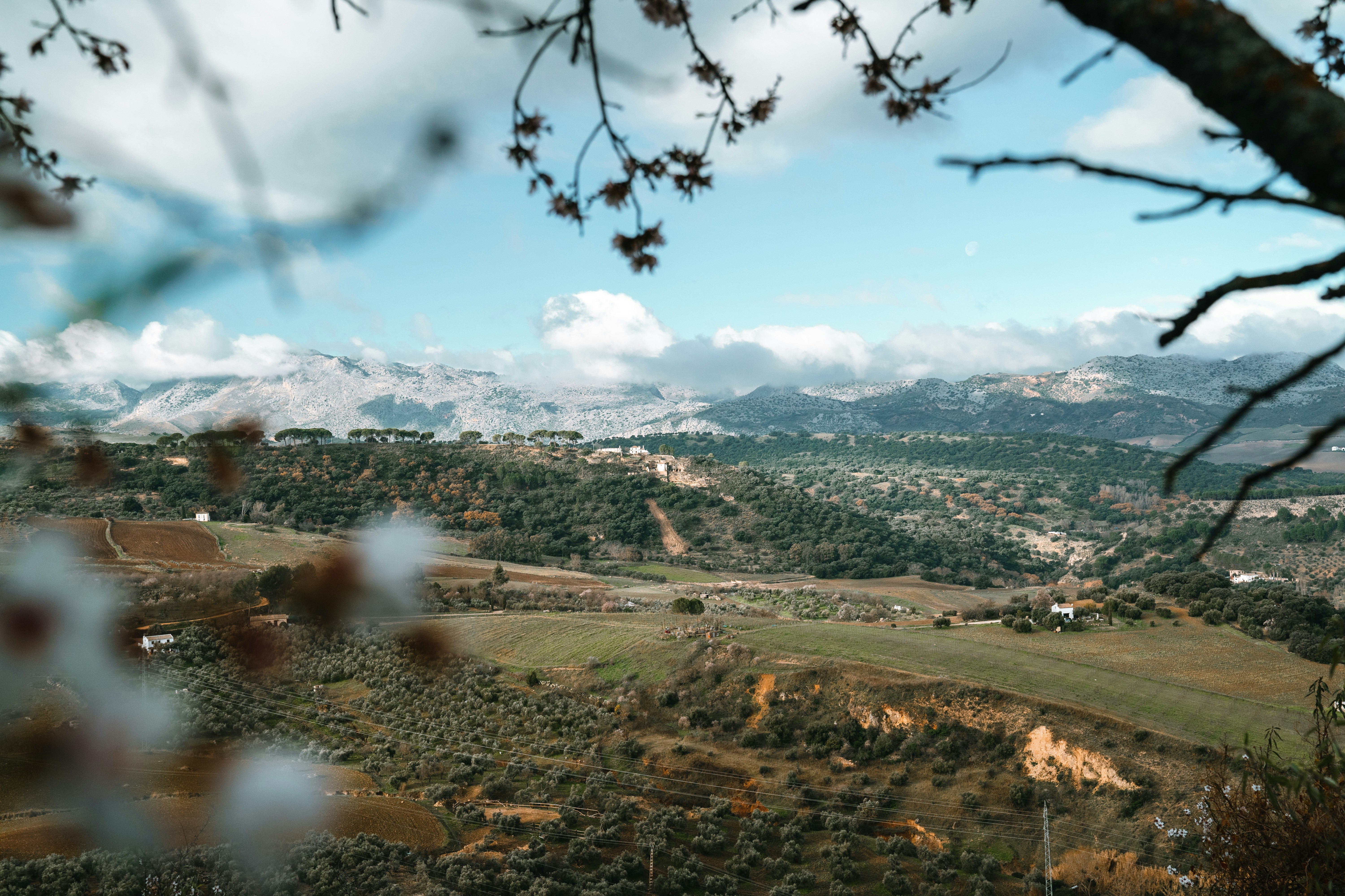 Nature produces the most astoundingly beautiful images: the swirling lava of a volcano, palm trees against a blue sky, snow-capped mountains towering above. Unsplash has magnificent , high-quality photos of all the delights that nature has to offer.