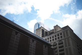 A professional cityscape image representing global education and consulting.