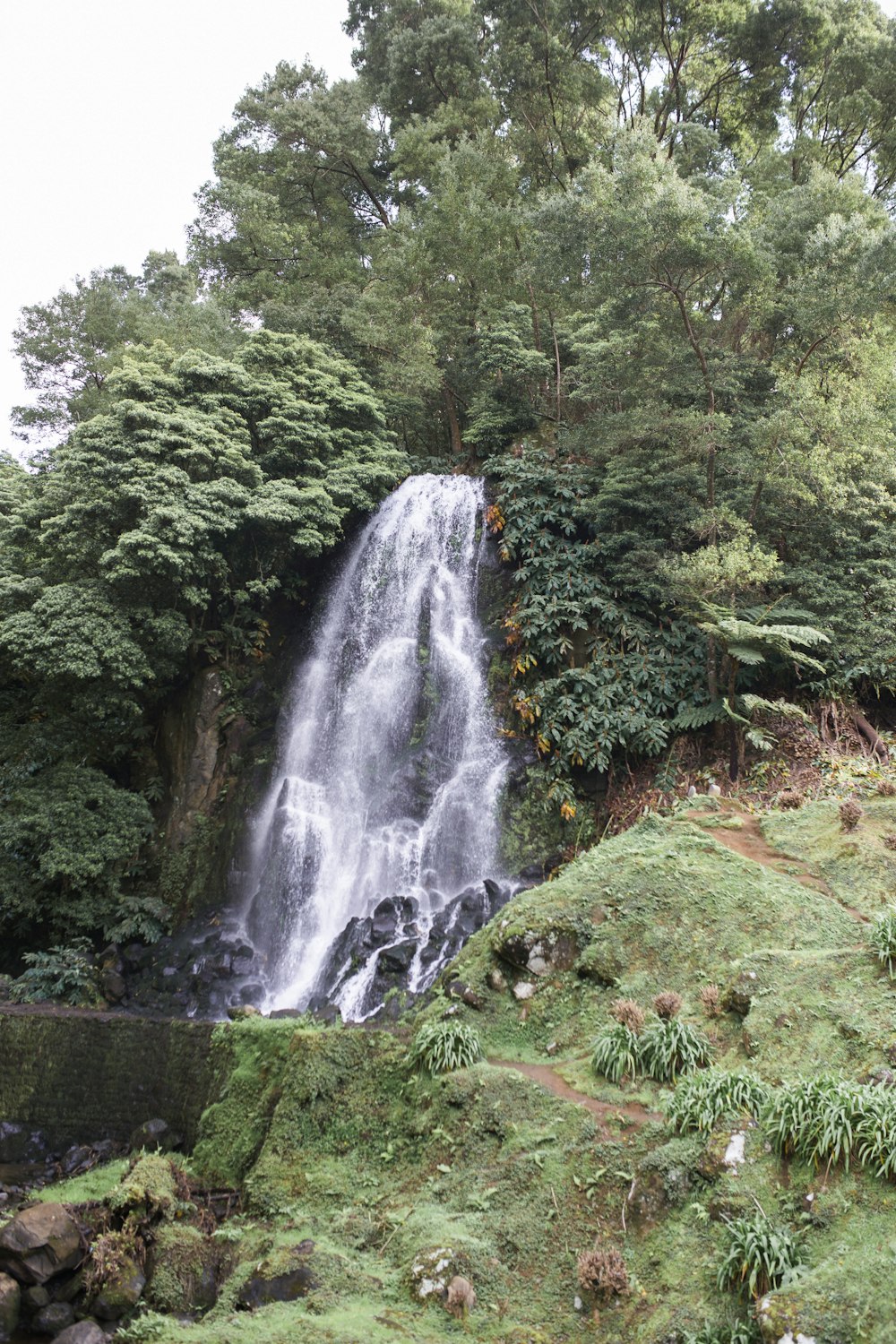 waterfalls during daytime