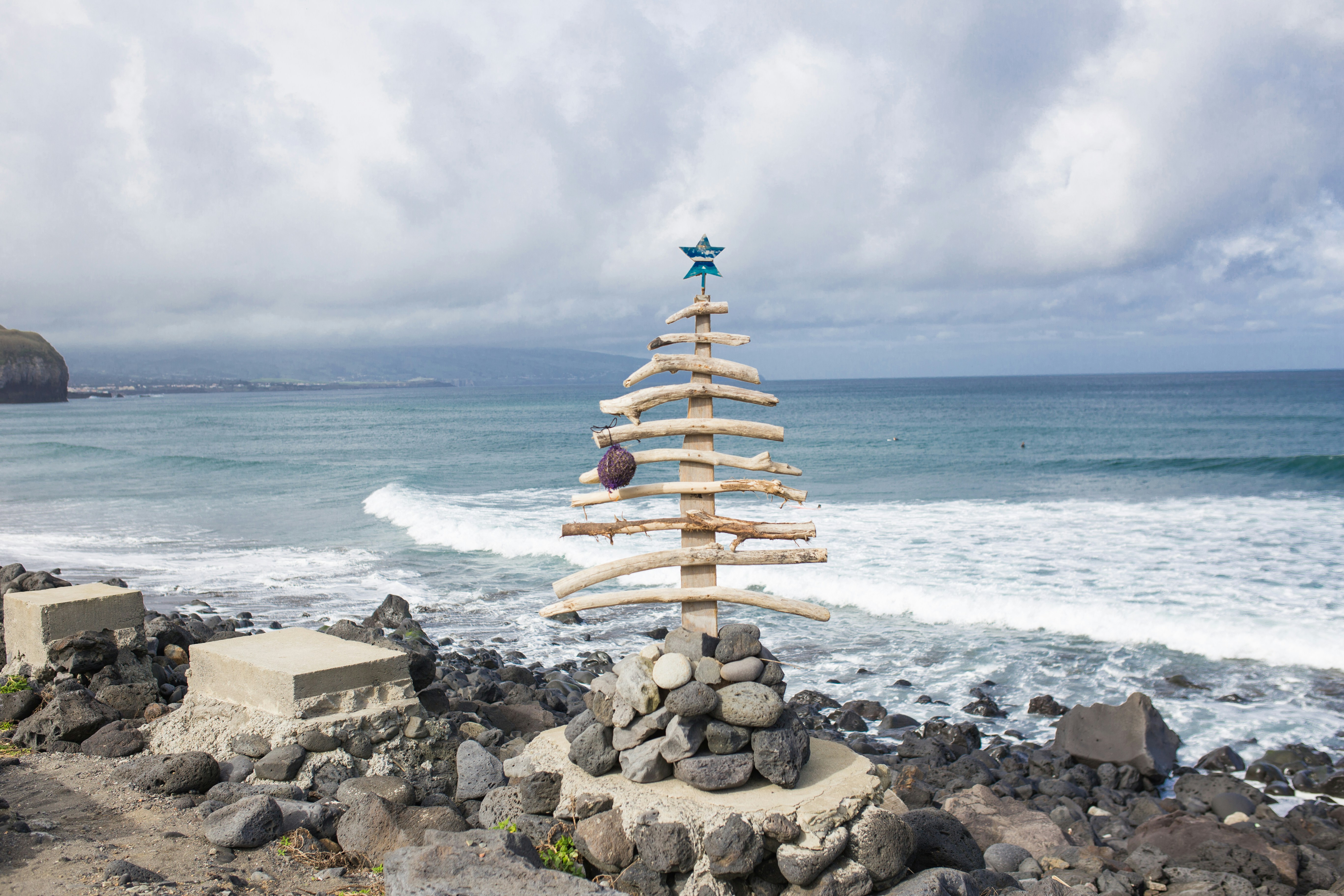 brown christmas tree on seashore
