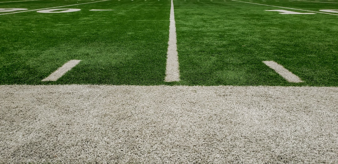 green and gray grass field