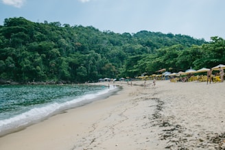 people standing on shore near trees during daytime
