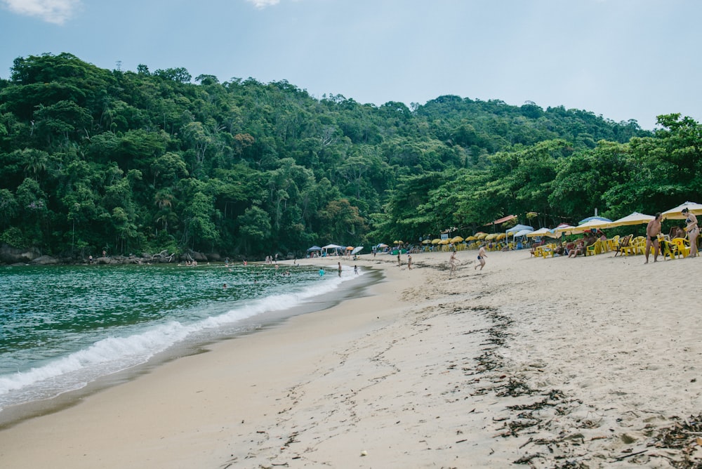 people standing on shore near trees during daytime