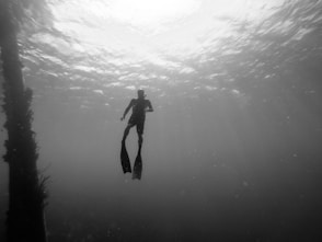 person diving on sea