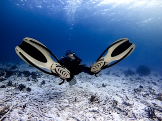 A scuba diver is swimming underwater above a sandy ocean floor, wearing a diving suit, mask, and large flippers. Light filters through the water, creating a serene, blue-hued environment. Coral and marine vegetation are scattered across the seabed.