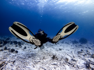 A scuba diver is swimming underwater above a sandy ocean floor, wearing a diving suit, mask, and large flippers. Light filters through the water, creating a serene, blue-hued environment. Coral and marine vegetation are scattered across the seabed.