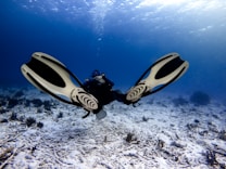 A scuba diver is swimming underwater above a sandy ocean floor, wearing a diving suit, mask, and large flippers. Light filters through the water, creating a serene, blue-hued environment. Coral and marine vegetation are scattered across the seabed.