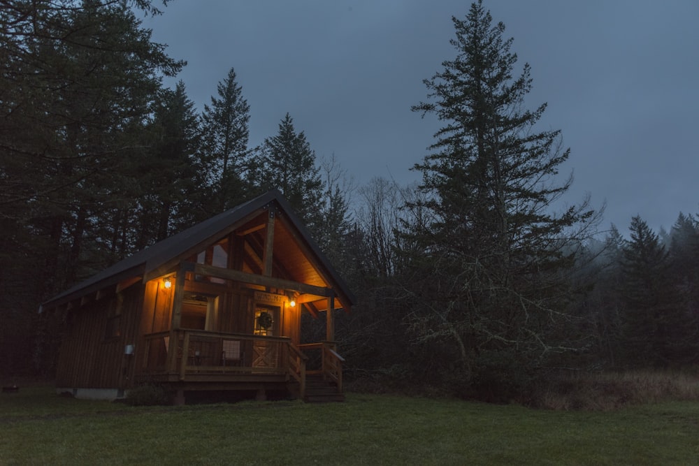 lighted brown wooden cabin near pine tree during night time