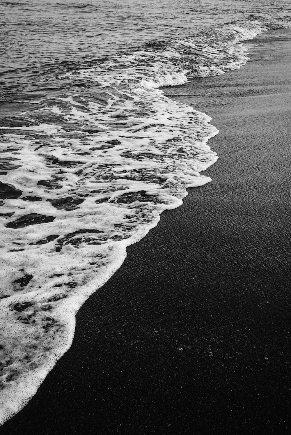grayscale photo of shore