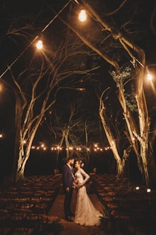couple under lighted tree during night time