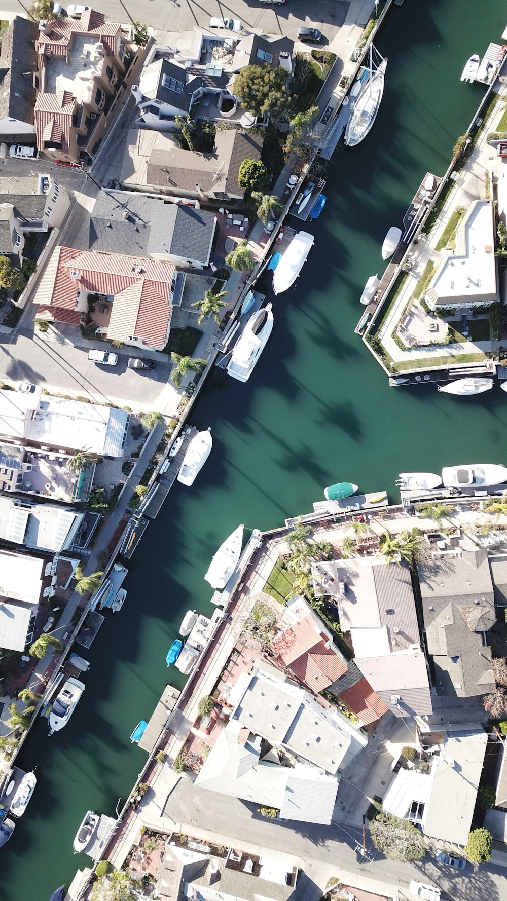 Vista aérea de casas e barcos perto do corpo d'água